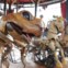 Le Carrousel des Mondes Marins. Les Machines de l’île