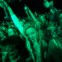 Primavera Sound | Ambiente da edição de 2015