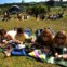 Primavera Sound | Ambiente da edição de 2014