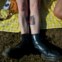Primavera Sound | Ambiente da edição de 2014