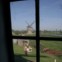 Kinderdijk