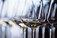 Dez vinhos que se destacaram em 2016