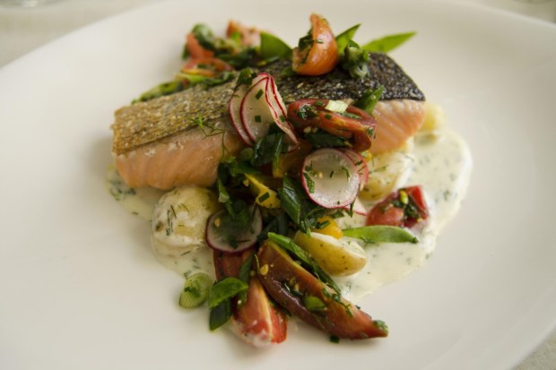 O salmão é um peixe gordo e benéfico para o cérebro