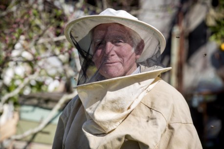 Alberto Caetano Tomas é apicultor e produtor de mel da Mel do Forno 
 
 
 