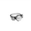 Anel Special Moments (71 euros)