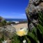 A praia de Labruje está no horizonte da Semana da Biodiversidade em Vila do Conde