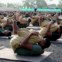 Funcionários do Exército indiano praticam ioga
