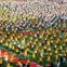 Dia Internacional do Ioga em Bangalore