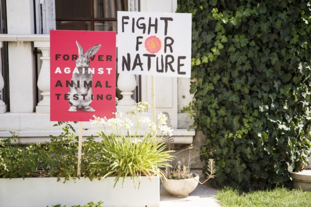 Forever Against Animal Testing é a nova campanha da The Body Shop
