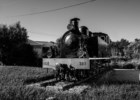 Comboio histórico dá nova vida à Linha do Vouga