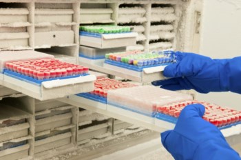 Quase 21 mil amostras biológicas estão já congeladas no biobanco de Lisboa