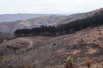 As cinzas que não foram removidas podem vir a contaminar a barragem de Odeleite