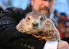 O Dia da Marmota: Punxsutawney Phil anuncia mais seis semanas de Inverno