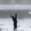 Um rapaz palestiniano brinca na neve depois de um nevão em Ramallah, na Cisjordânia