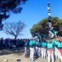 As torres humanas da Catalunha chegaram a Portugal
