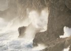 O Clube dos Corvos nas arribas do Cabo Espichel e outras imagens singulares da natureza