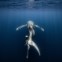 Terceiro Lugar Ocean Photographer of the Year