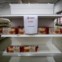 Pães no valor de 0,50 pontos são expostos no Cáritas Emporium, supermercado financiado com dinheiro arrecadado na Fontana di Trevi