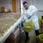 Fabrizio Marchioni, 52 anos, funcionário da Cáritas, carrega um balde com moedas colectadas na Fontana di Trevi