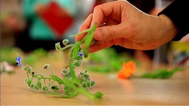 Workshop de Flores Comestíveis com Fernanda Botelho