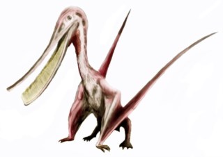 Novo gênero de pterossauro é conhecido como 'dragão de gelo dos