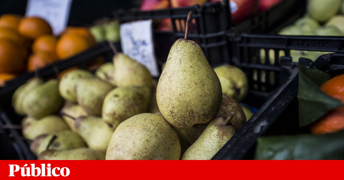 A pêra-rocha e a maçã de Alcobaça precisam que chova até Abril ...