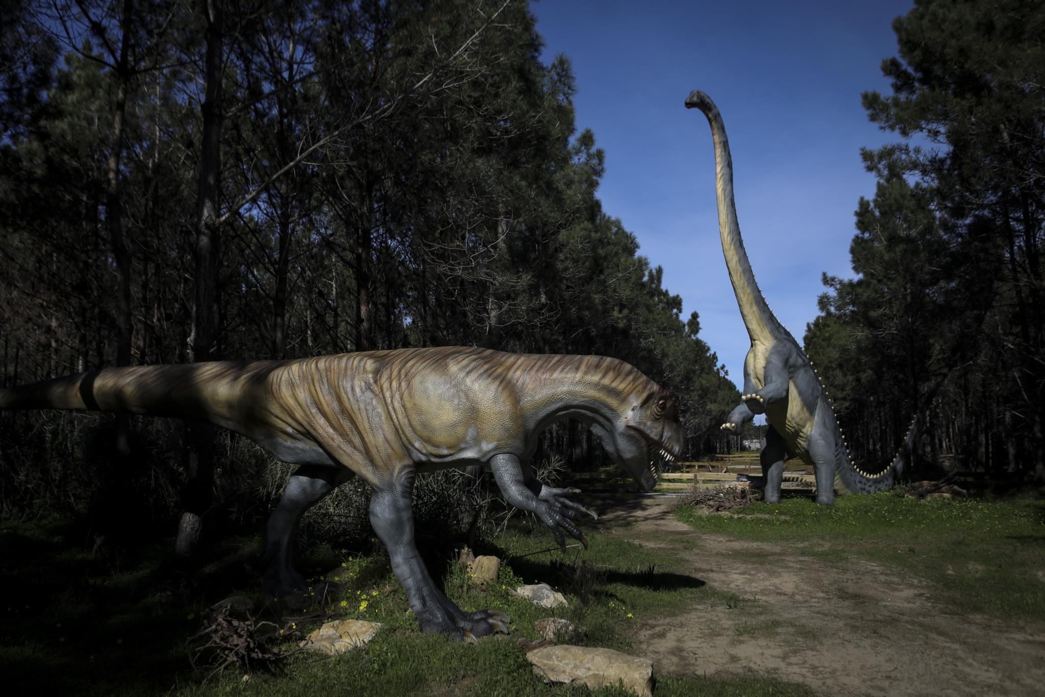 Dinossauros e animais para crianças! 1 HORA de Parque do T-REX