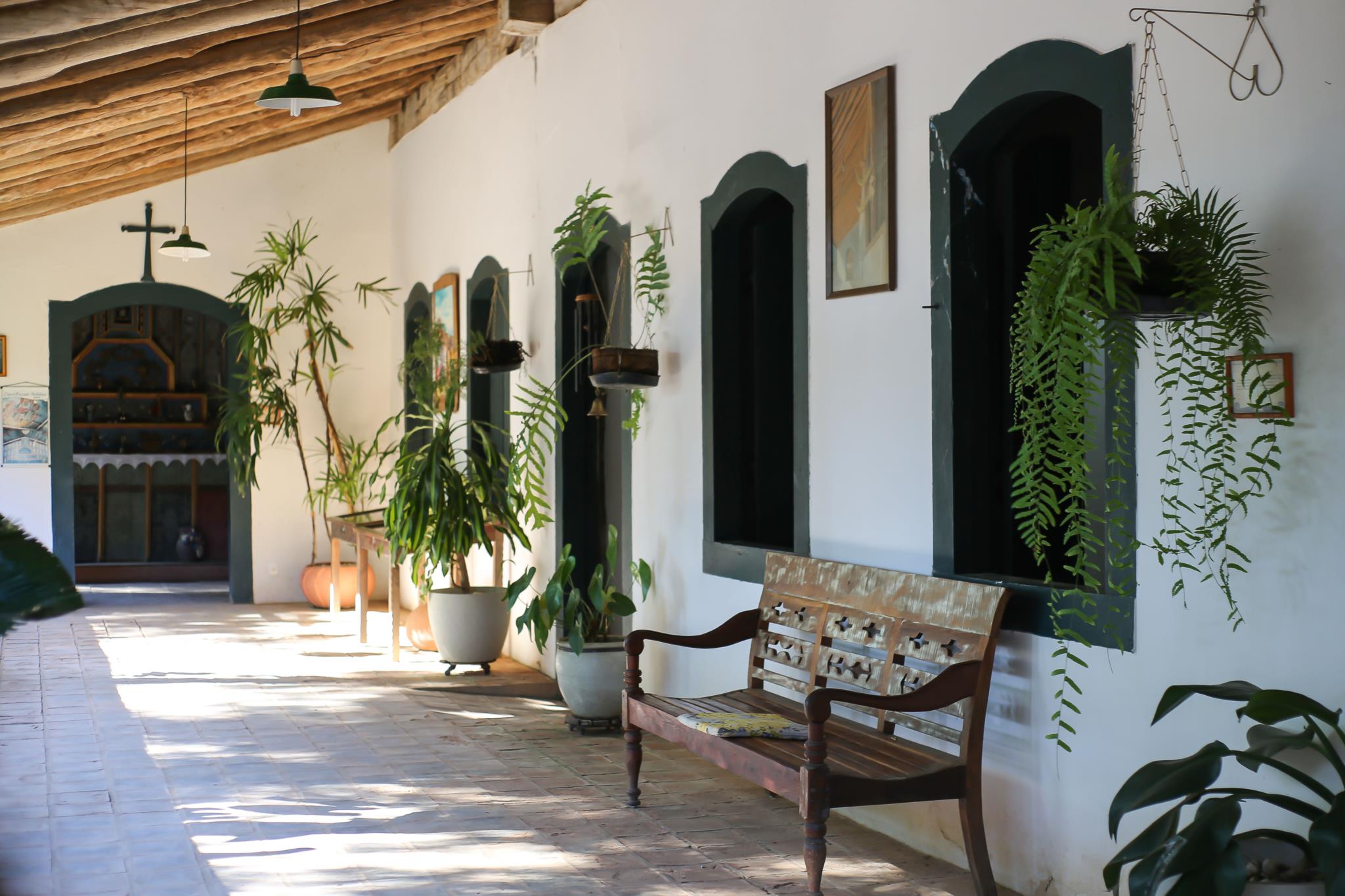 O café sertanejo da Fazenda Babilónia 