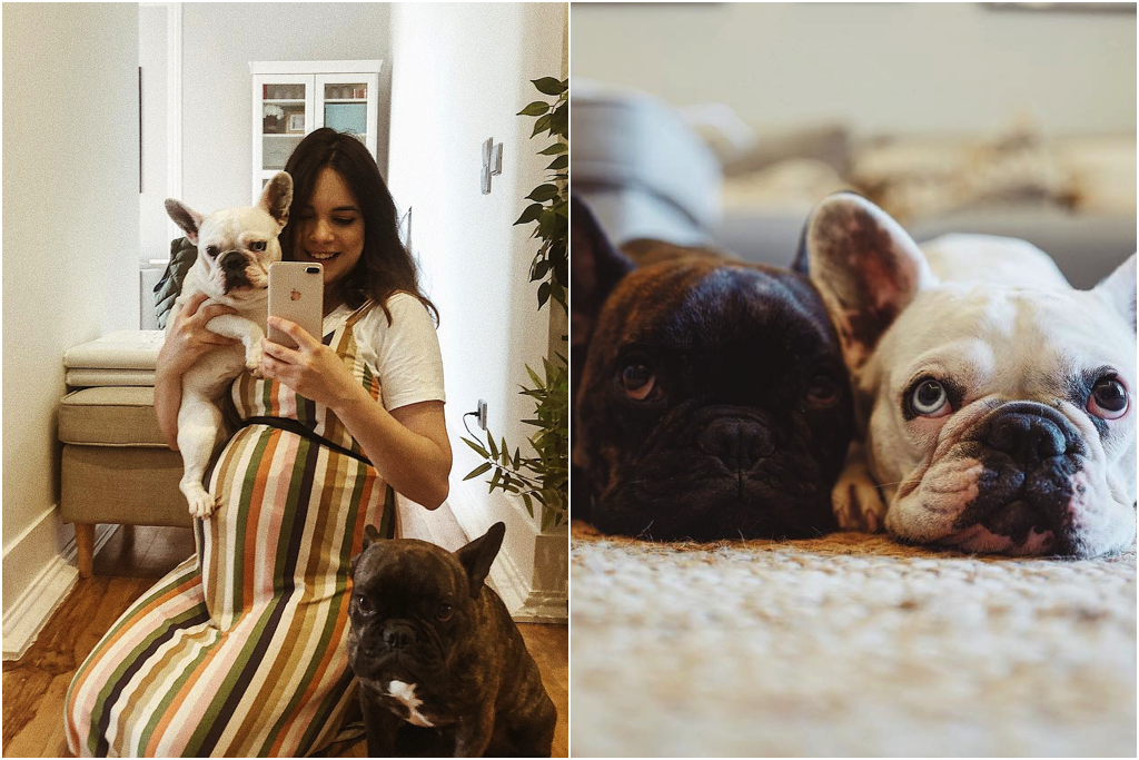 Os Animais Da Maria Vaidosa Mafalda Sampaio Bill E Bennie O Animal De Publico