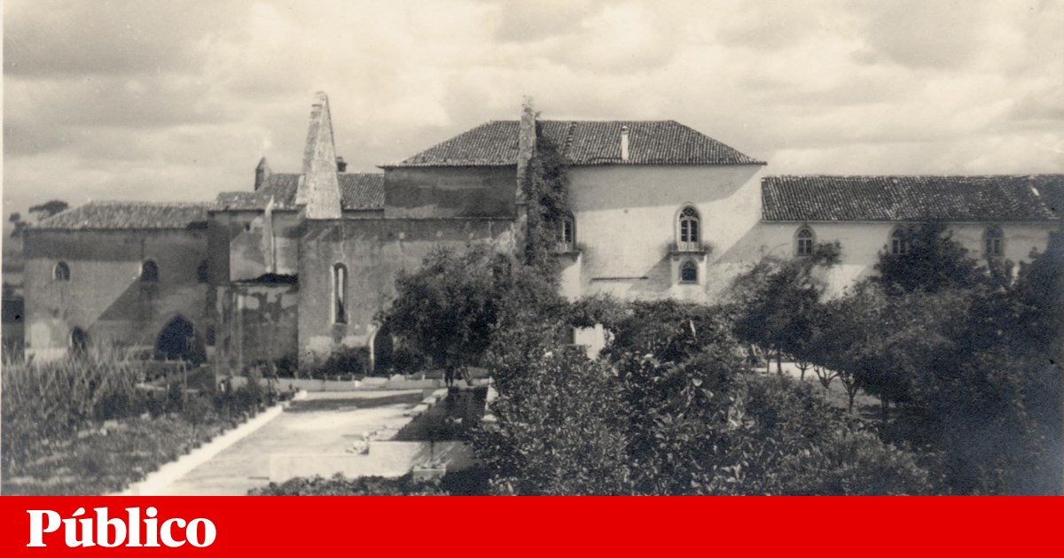 O Médico Benevolente A Cozinheira E As Andorinhas -