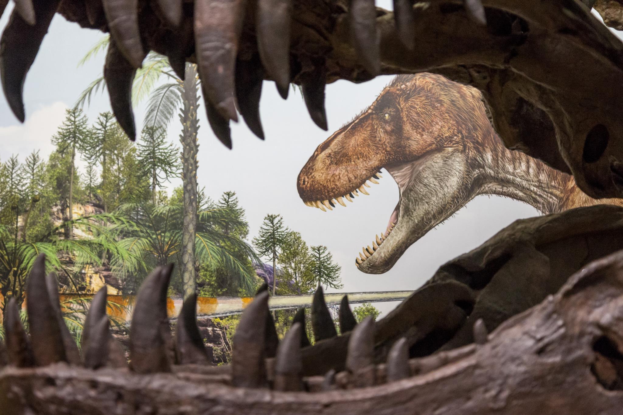 O Tempo dos Dinossauros: O Filme 3D - Dino Factos: O Tamanho (Portugal) 