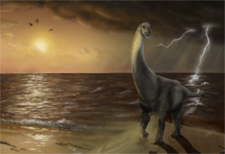 Dinossauro gigante descoberto há 15 anos finalmente ganha nome:  Australotitan - Canaltech