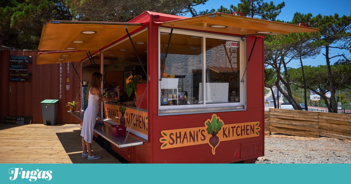 A cozinha da Shani é a porta perfeita para o paraíso, dia após dia após dia