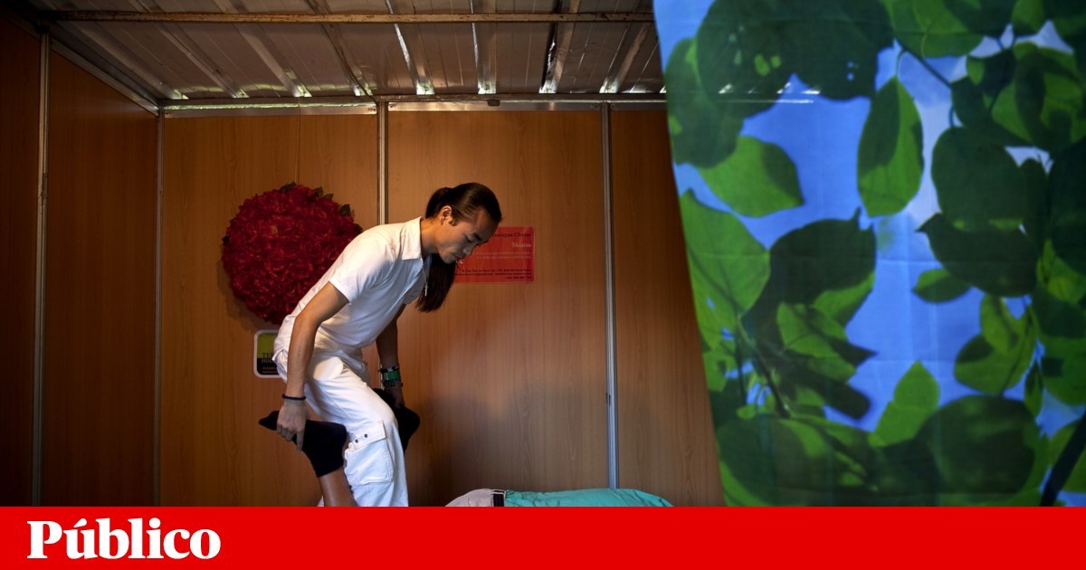 Feira Alternativa de Lisboa espera acolher mais de 15 mil visitantes este ano