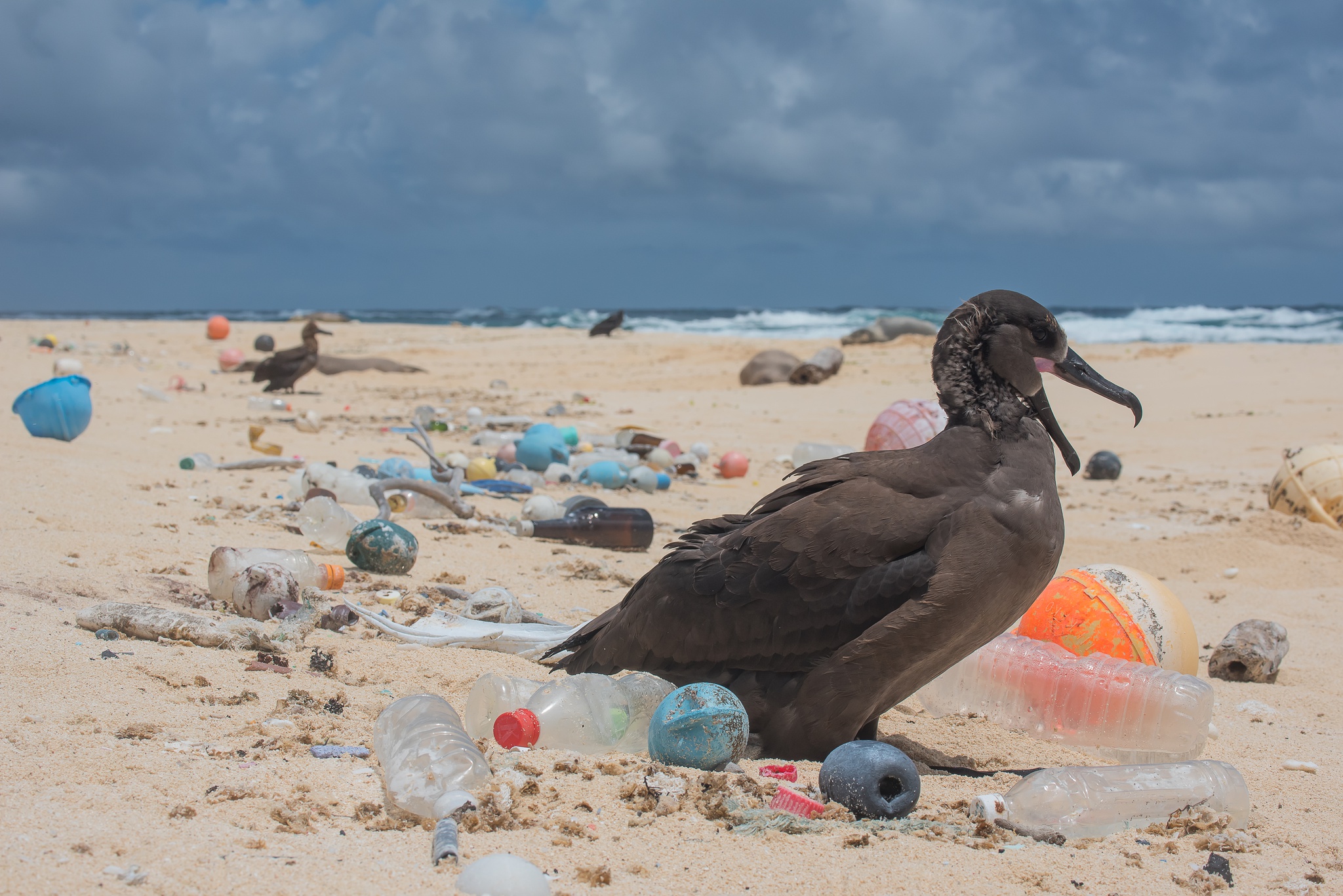 Explorador encontra plástico no local mais profundo dos oceanos