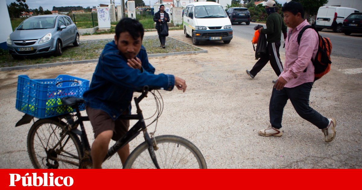 Autarca quer reforço de serviços públicos em Odemira devido ao número de imigrantes