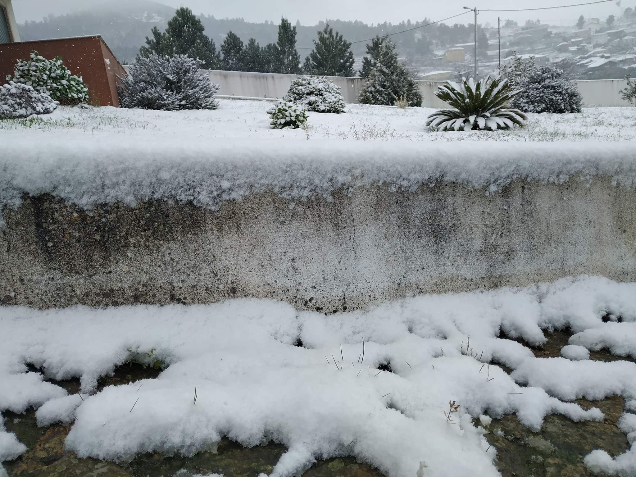 Cai Neve No Norte E Centro E As Imagens Correm As Redes Sociais Meteorologia Publico