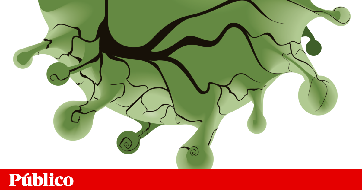 2020 Uma Quimera 2020 Uma Quimera