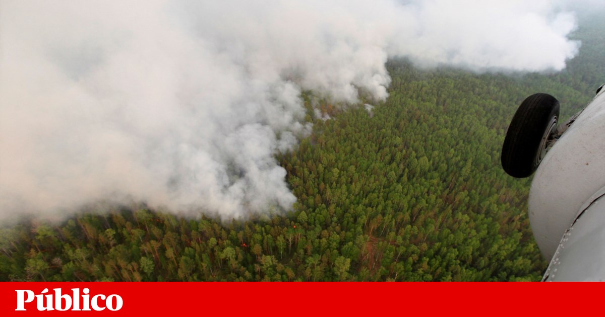 www.publico.pt