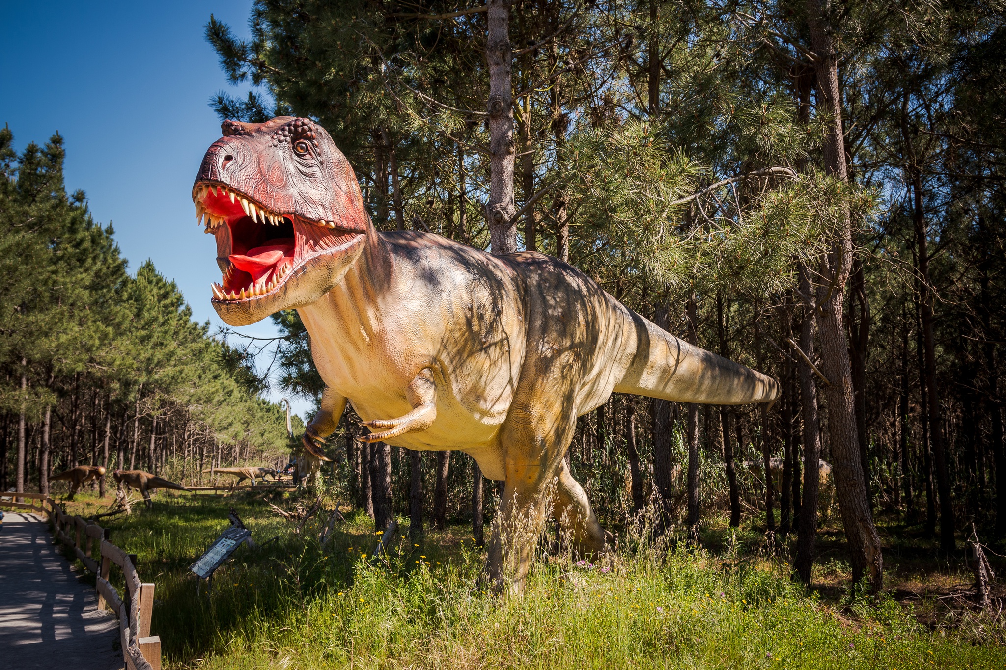 Dinossauros jogo para crianças e miúdos : descobrir o mundo