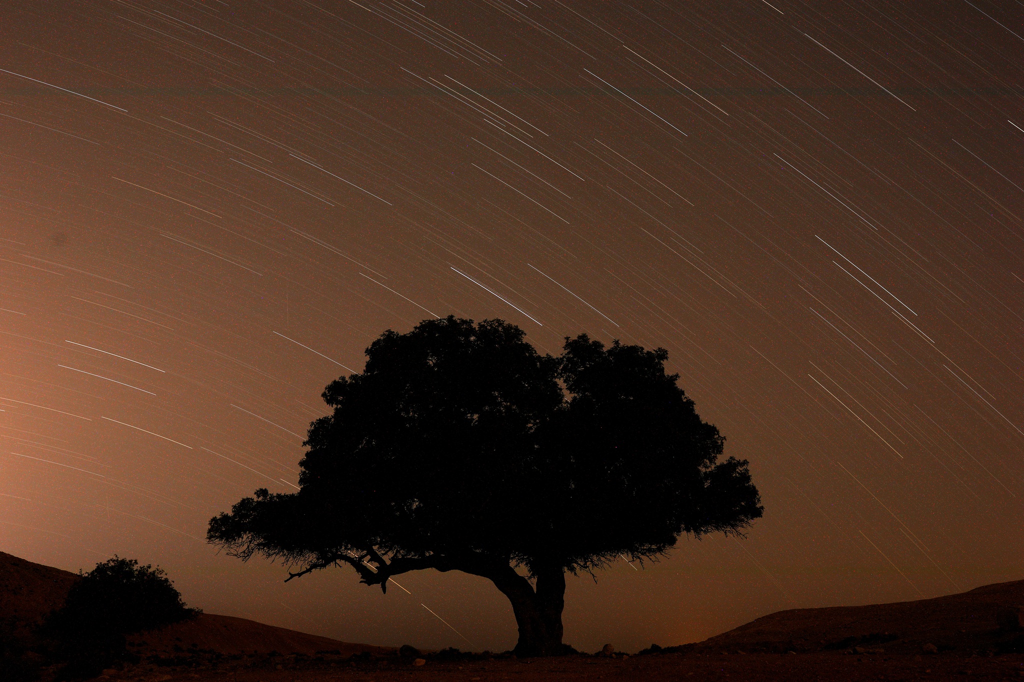 A Famosa Chuva De Estrelas De Verao Esta Ai Astronomia Publico