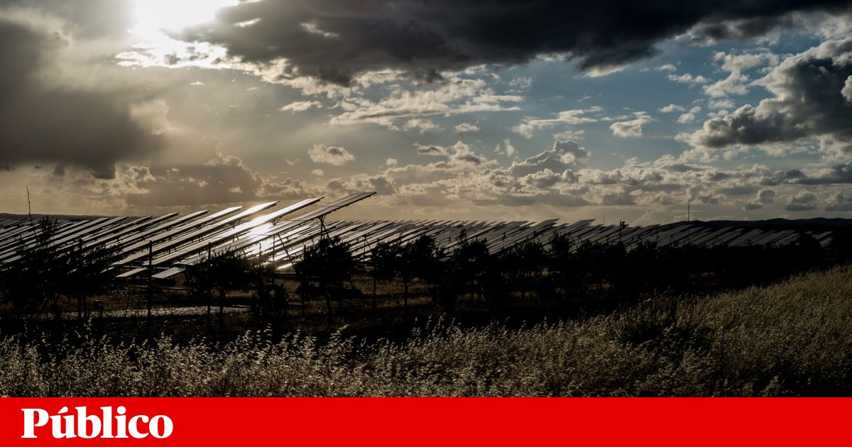 www.publico.pt