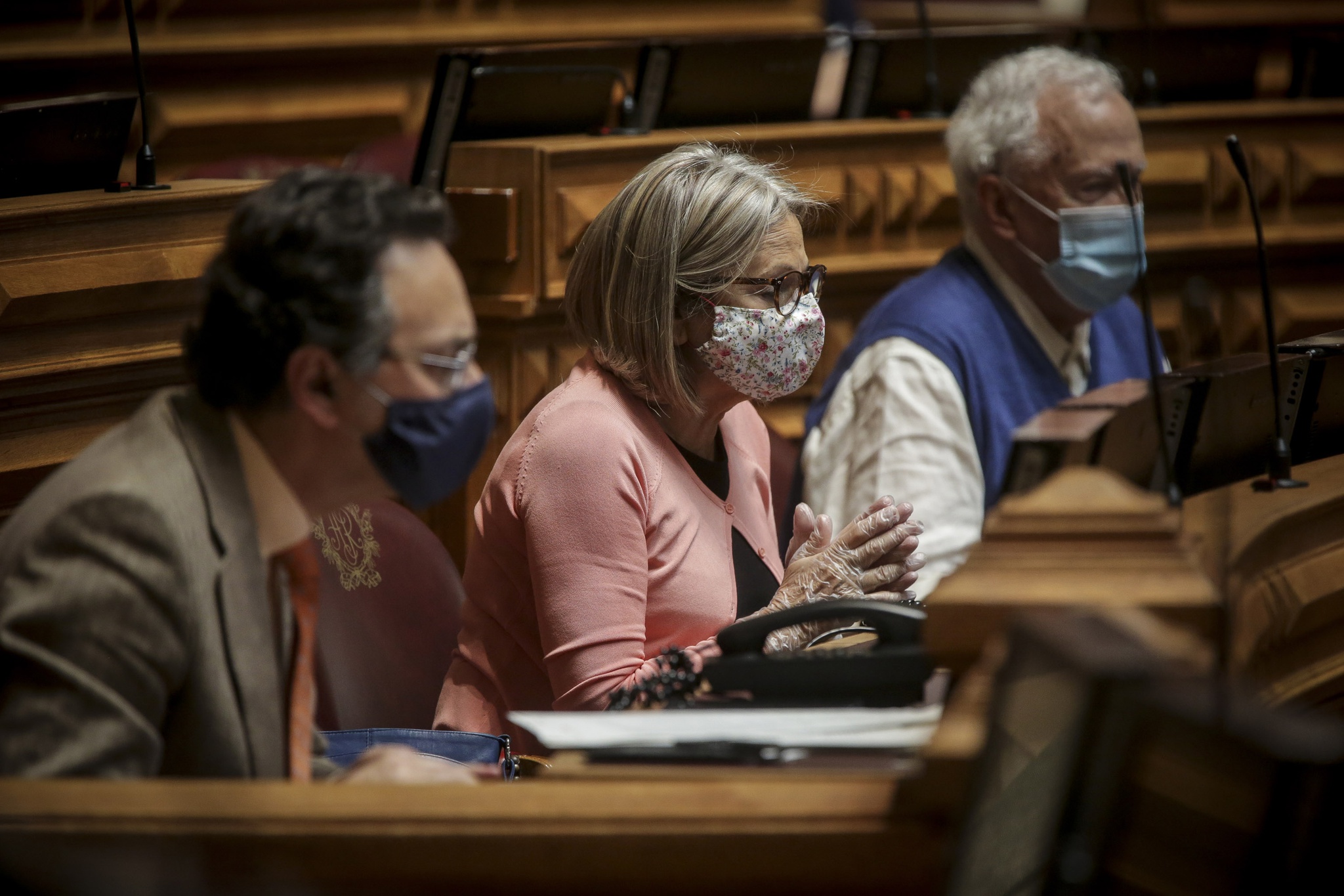 Edite Estrela Coordena Trabalho Sobre Vacinacao No Parlamento Covid 19 Publico