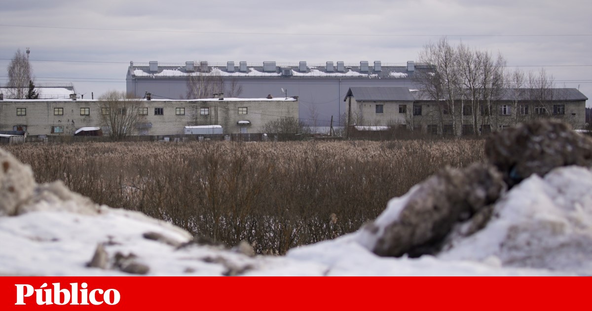 Navalny encarcelado a unos 100 kilómetros de Moscú para cumplir su condena |  Rusia Navalny encarcelado a unos 100 kilómetros de Moscú para cumplir su condena |  Rusia