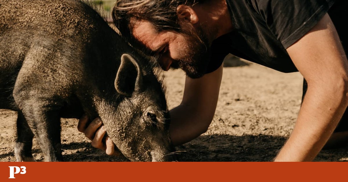 Los animales de Amorempatia se mudarán de casa y, más que donaciones, necesitan amor |  Animales Los animales de Amorempatia se mudarán de casa y, más que donaciones, necesitan amor |  Animales