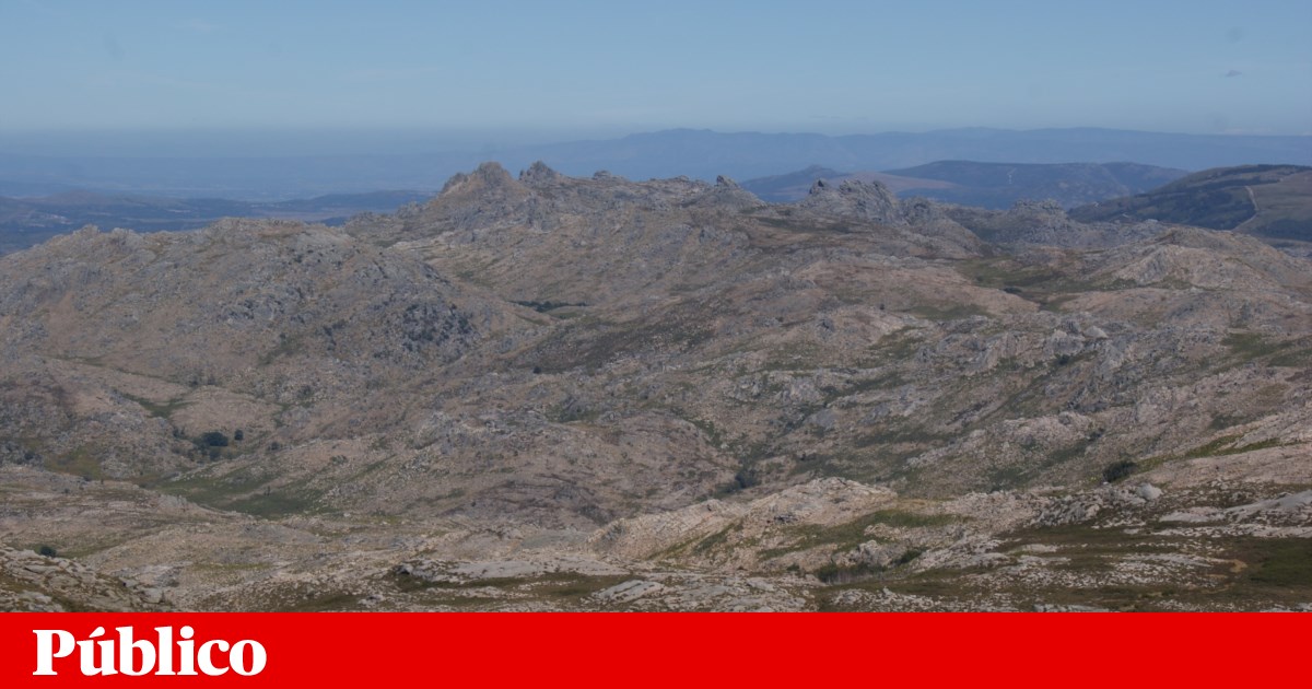 www.publico.pt
