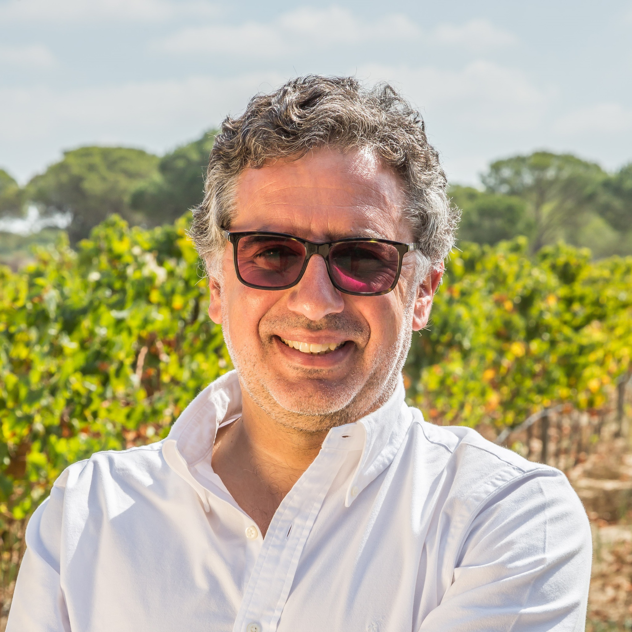 Henrique Soares 