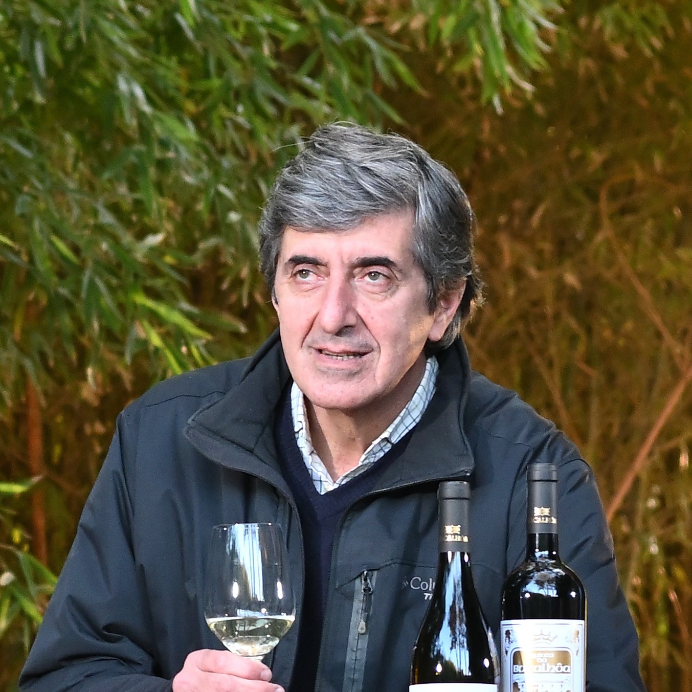 Vasco Penha Garcia 
