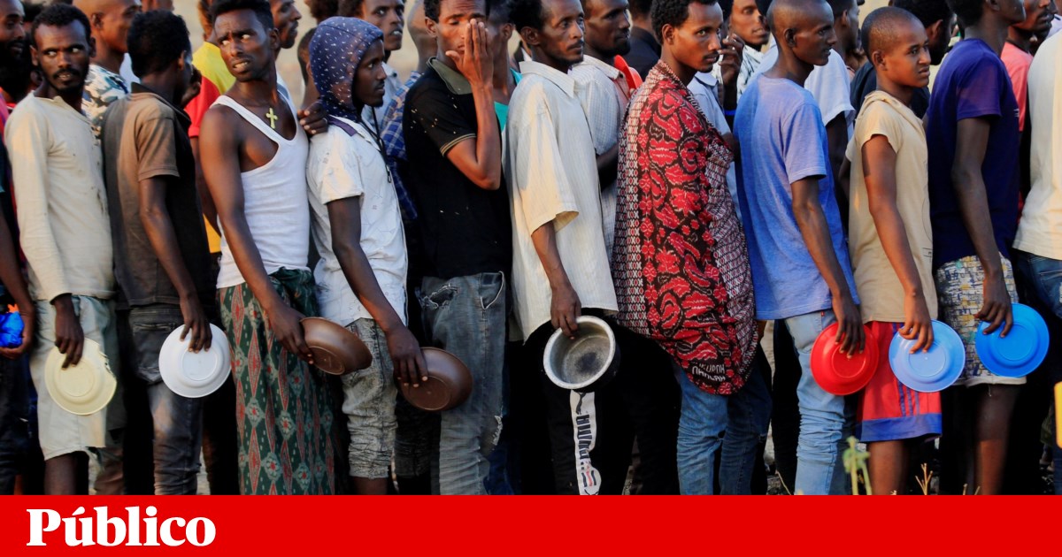 Cerca de 155 milhões de pessoas enfrentaram escassez aguda de alimentos em 2020 | Fome | PÚBLICO