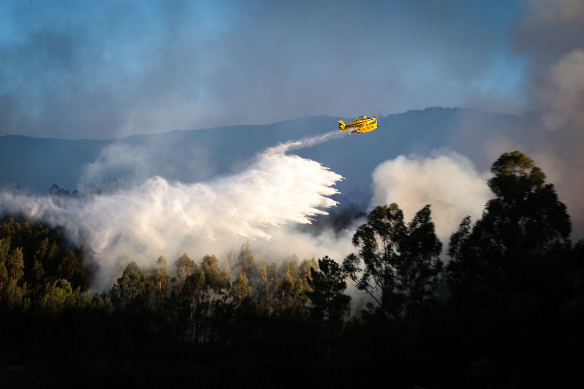 Fogo Em Castro Marim Esta Em Fase De Resolucao A22 Ja Foi Reaberta Incendios Publico